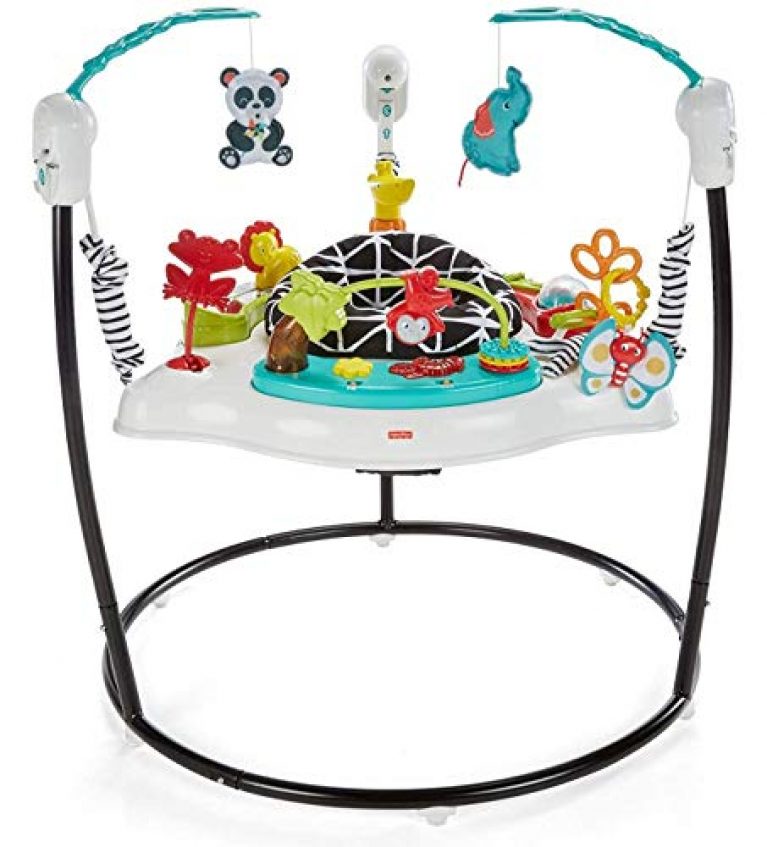 fisher price animal activity jumperoo age