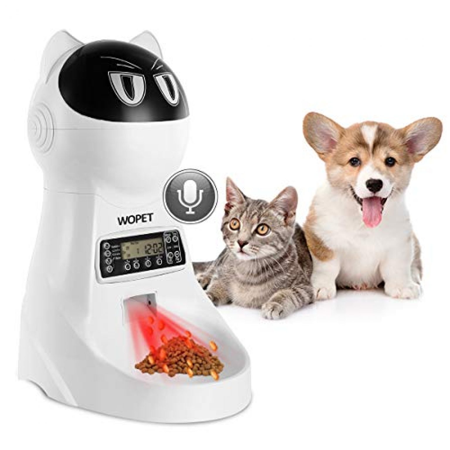 wopet automatic pet feeder set up