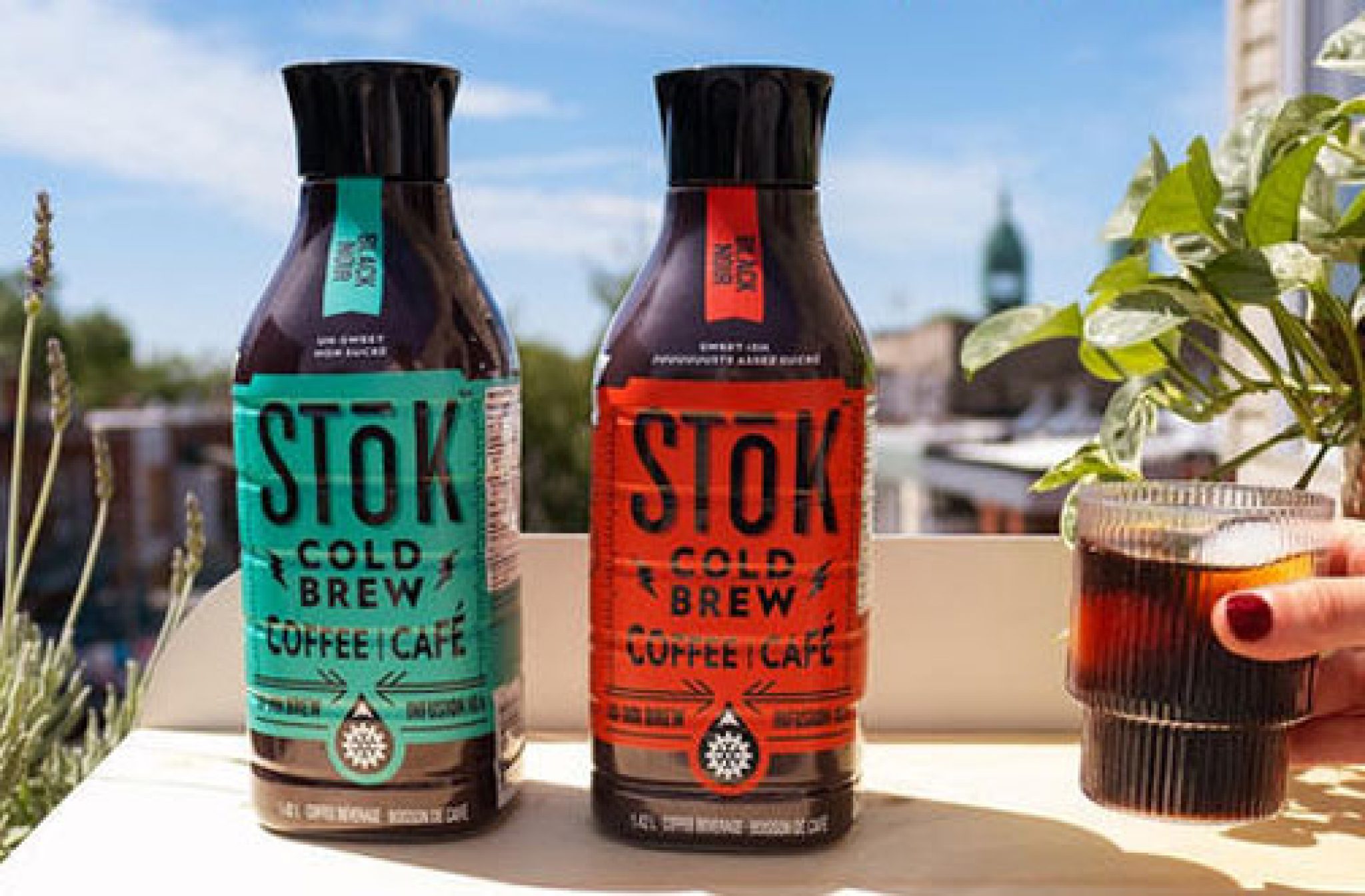 Stok Cold Brew Printable Coupons