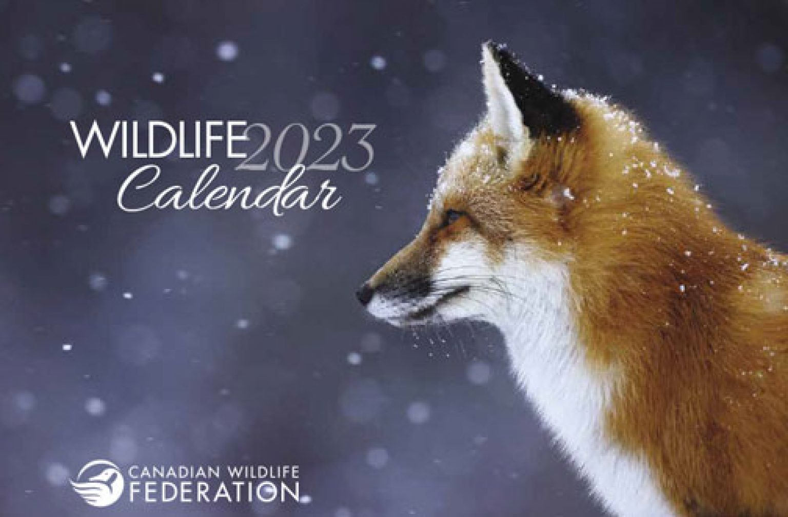 Free Canadian Wildlife Federation Calendar 2023 — Deals from SaveaLoonie!