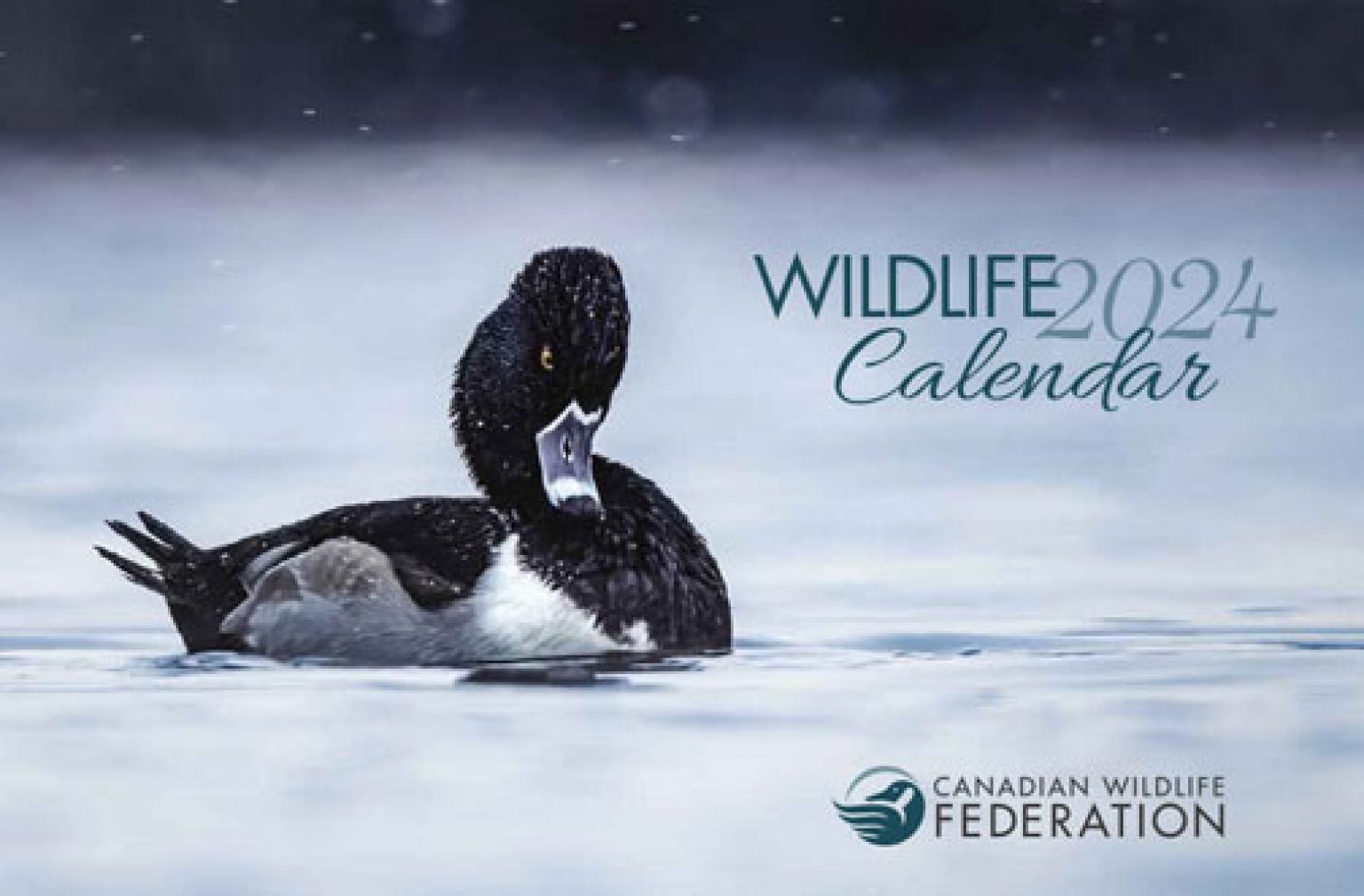 Free Canadian Wildlife Federation Calendar 2024 — Deals from SaveaLoonie!