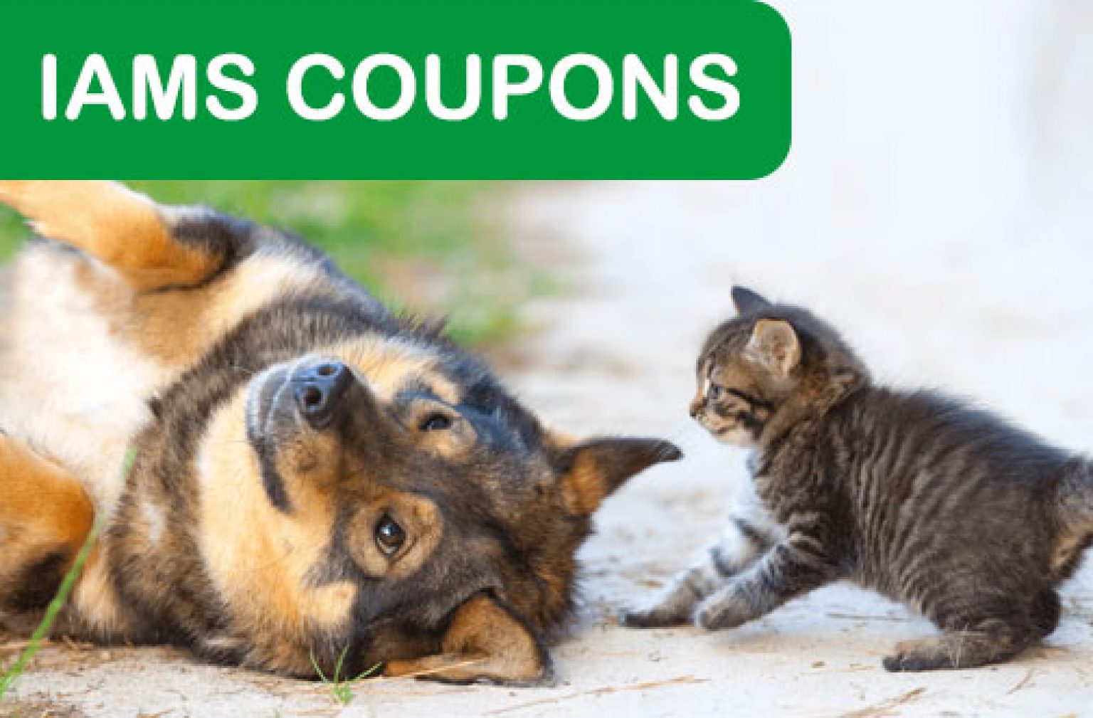 iams-pet-food-coupons-deals-from-savealoonie