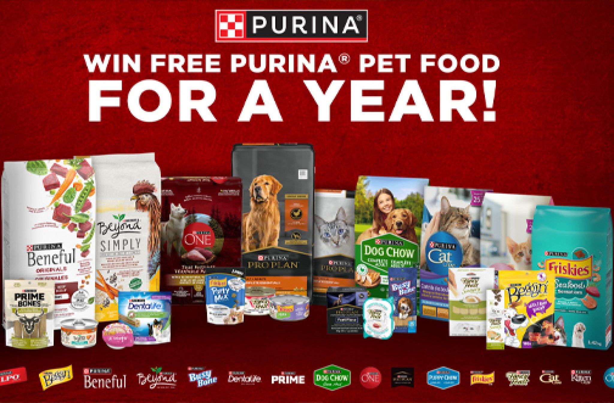 Purina Contest Win Free Pet Food for a Year — Deals from SaveaLoonie!