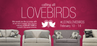 Leon’s Love Birds Contest