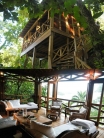 Tree Houses Are Fun For Grown Ups Too!