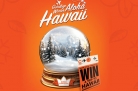 Goodbye Winter, Aloha Hawaii Sweepstakes