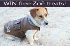 Zoe Fall Treats Giveaway