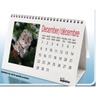 FREE Holiday Pet Calendar