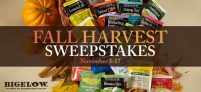 Bigelow Tea Fall Harvest Sweepstakes