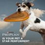 Pro Plan Star Performer Contest & Coupons