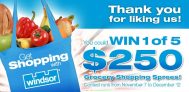 Windsor Salt Grocery Shopping Spree Contest