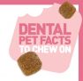 Royal Canin Dental Pet Facts to Chew on Contest