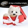 Cesar 25 Days of Holiday Delights