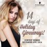 Schwarzkopf Professional 14 Days of Holiday Giveaways! Contest