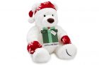 Amazon.ca Gift Card with FREE Holiday Teddy Bear