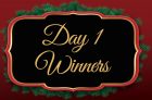 SaveaLoonie’s 12 Days of Giveaways – Day 1 Winners