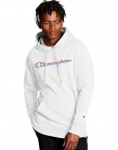 Champion Mens Powerblend Hoodie