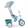 Little Tikes Perfect Fit 4-in-1 Trike, Teal