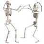 OKPOW 40cm Halloween Posable Skeletons, 2 pack