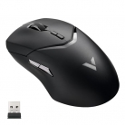 Rapoo VT9Pro Wireless Gaming Mouse