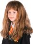 Rubies Costume Co (Canada) Child’s Hermione Granger Wig