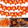 Toodour Thanksgiving Decorations Lights, Fall Maple Leaves String Lights, 20ft 40 LED