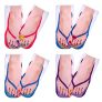 Vspek 4 Pairs Flip Flop Novelty Socks